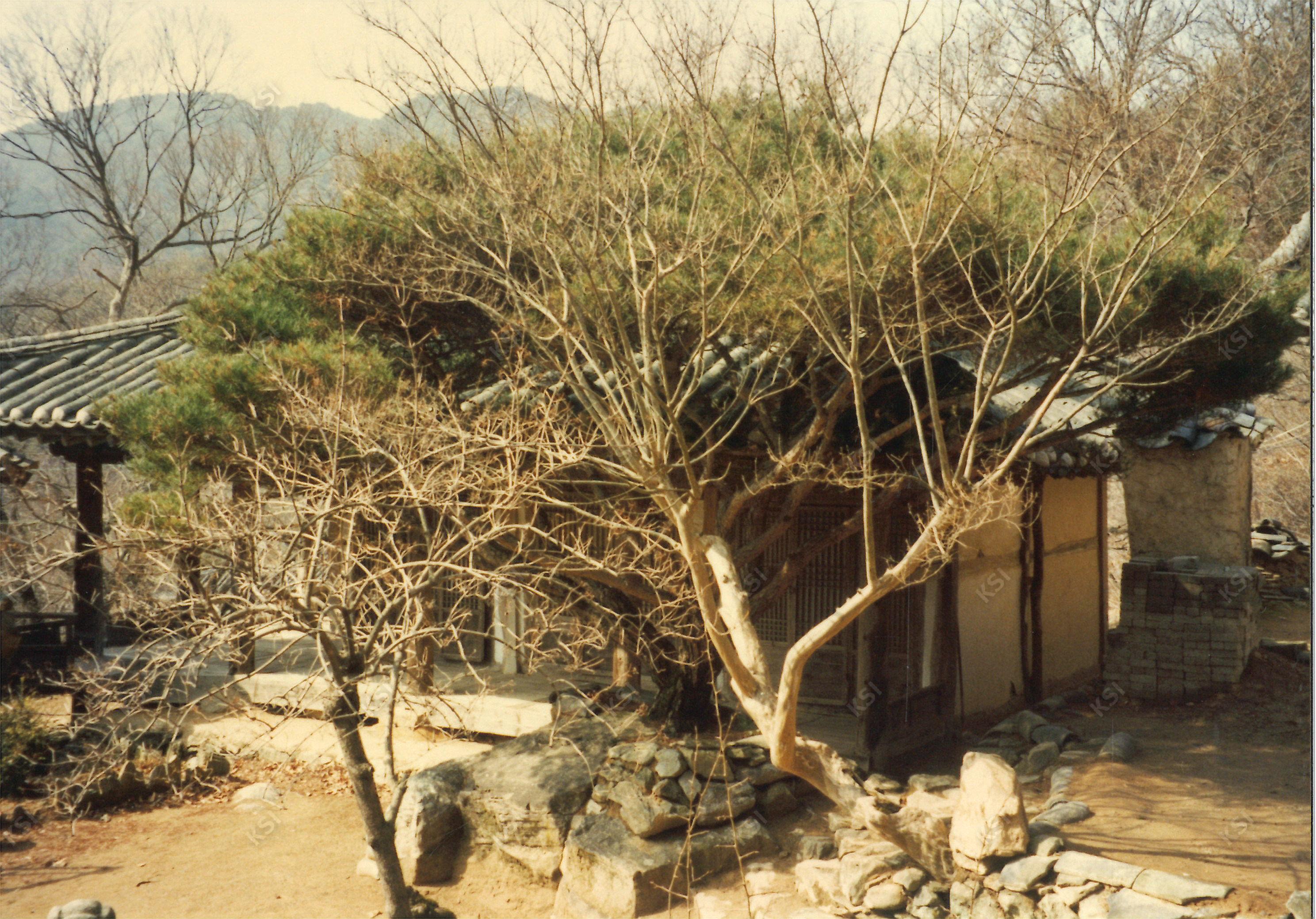 1997년 봉정사 영산암의 정원