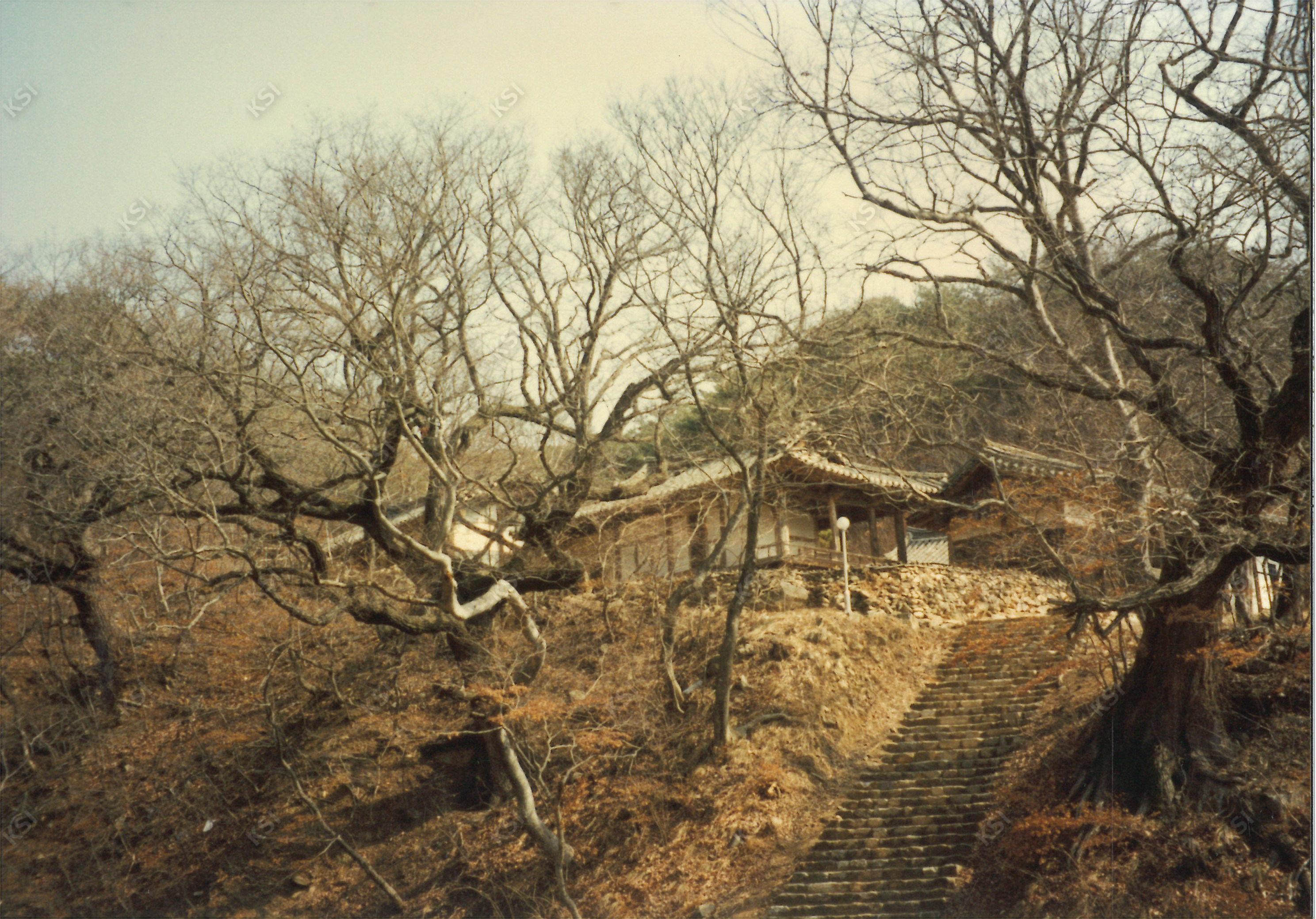 1997년 봉정사 영산암 가는 길
