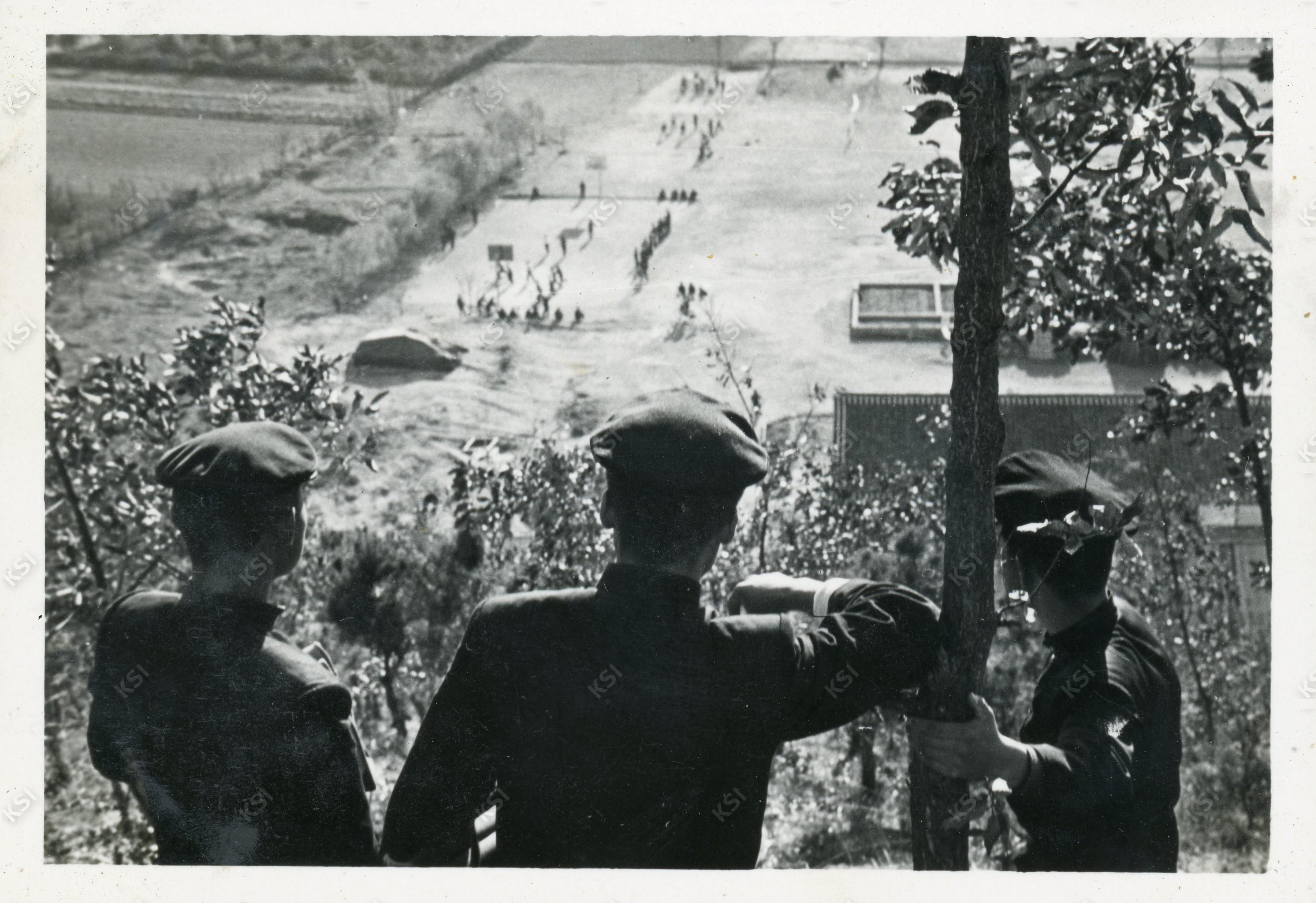 1960년대 안동고등학교 뒷산에서 친구들과 교정을 바라보며