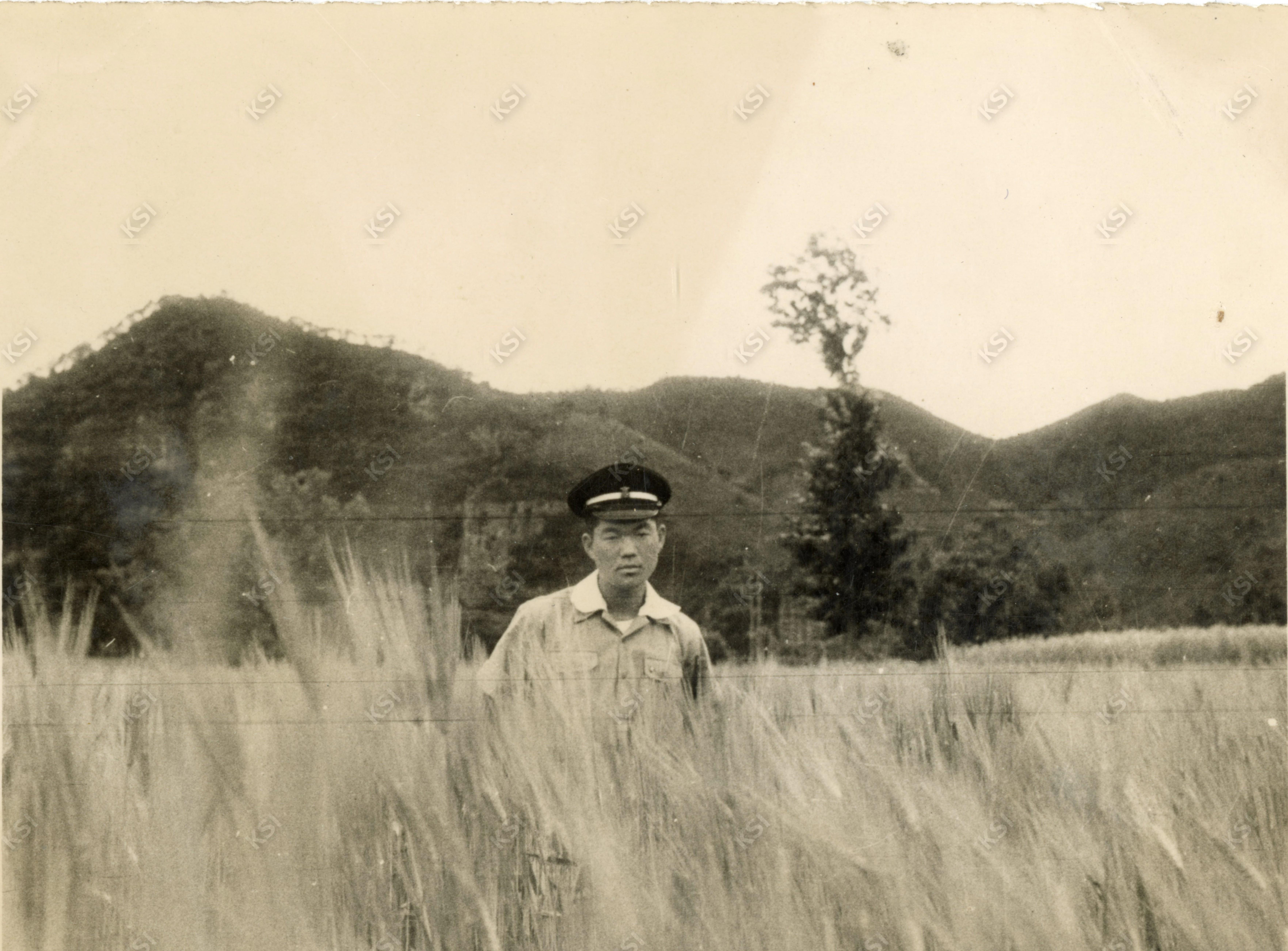 1960년 풍산 마애리 보리밭에서