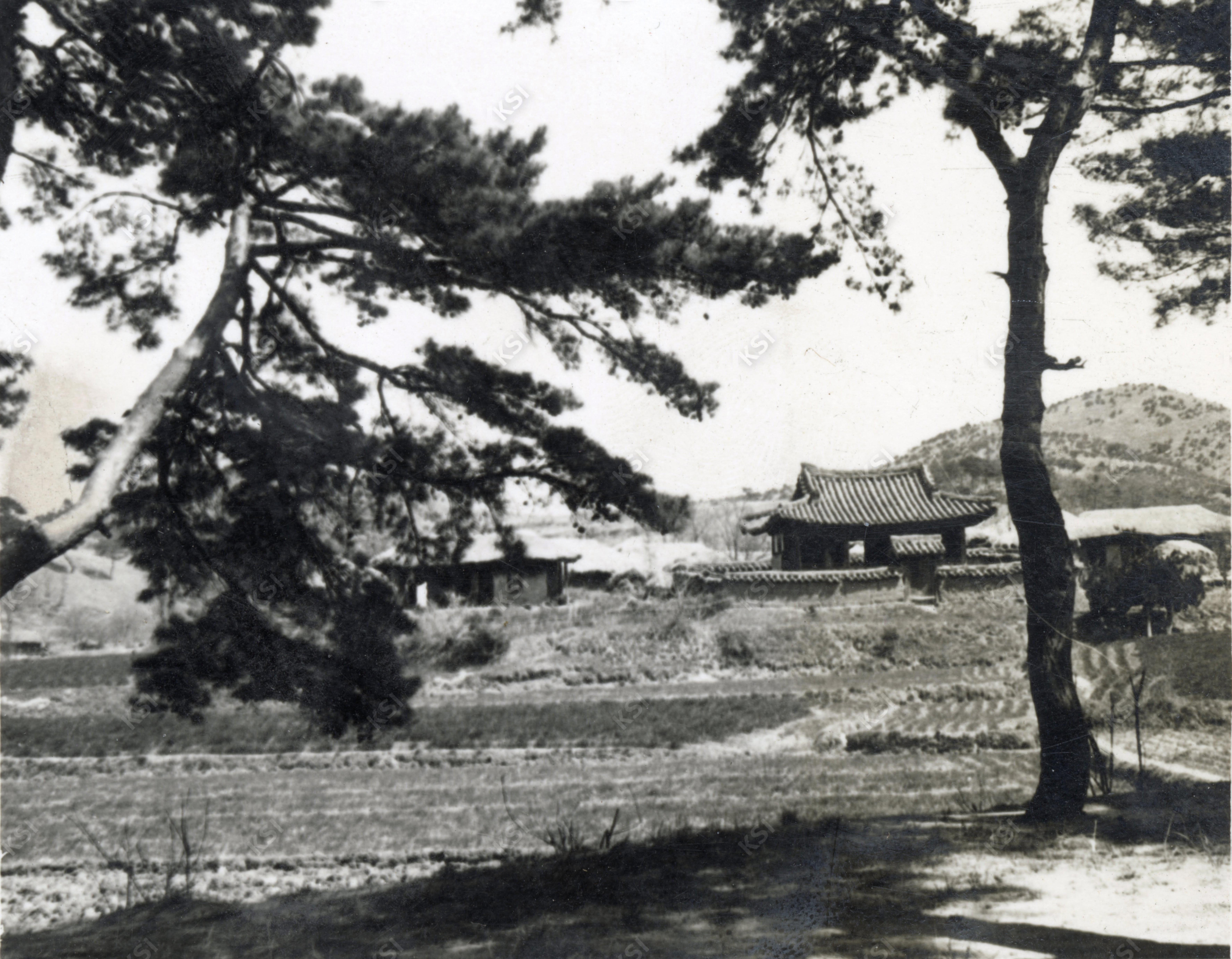 1950년대 이로당