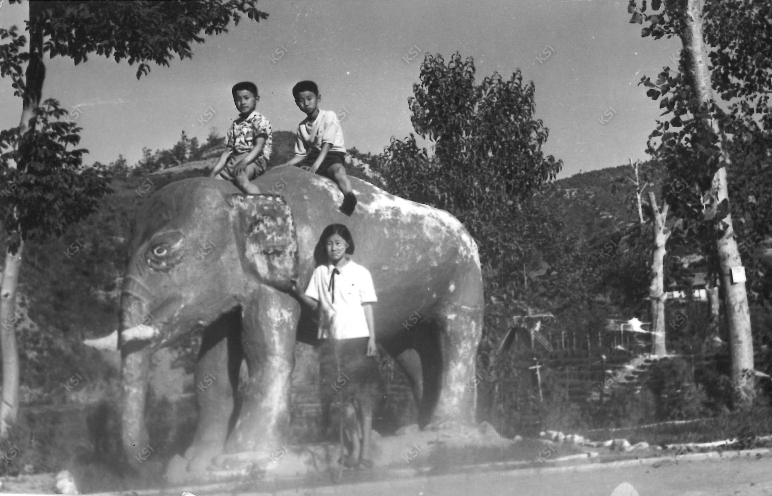 1972년 서후국민학교에서