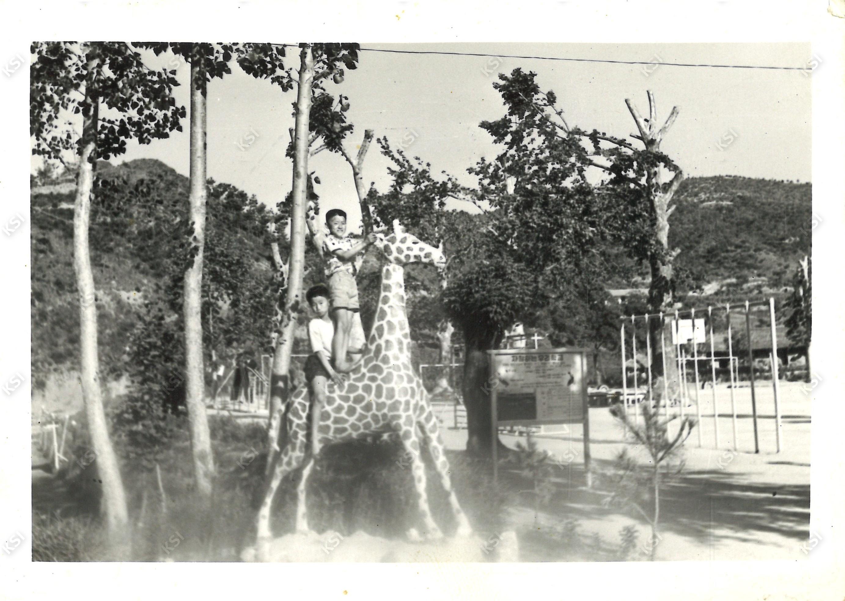 1972년 서후국민학교에서