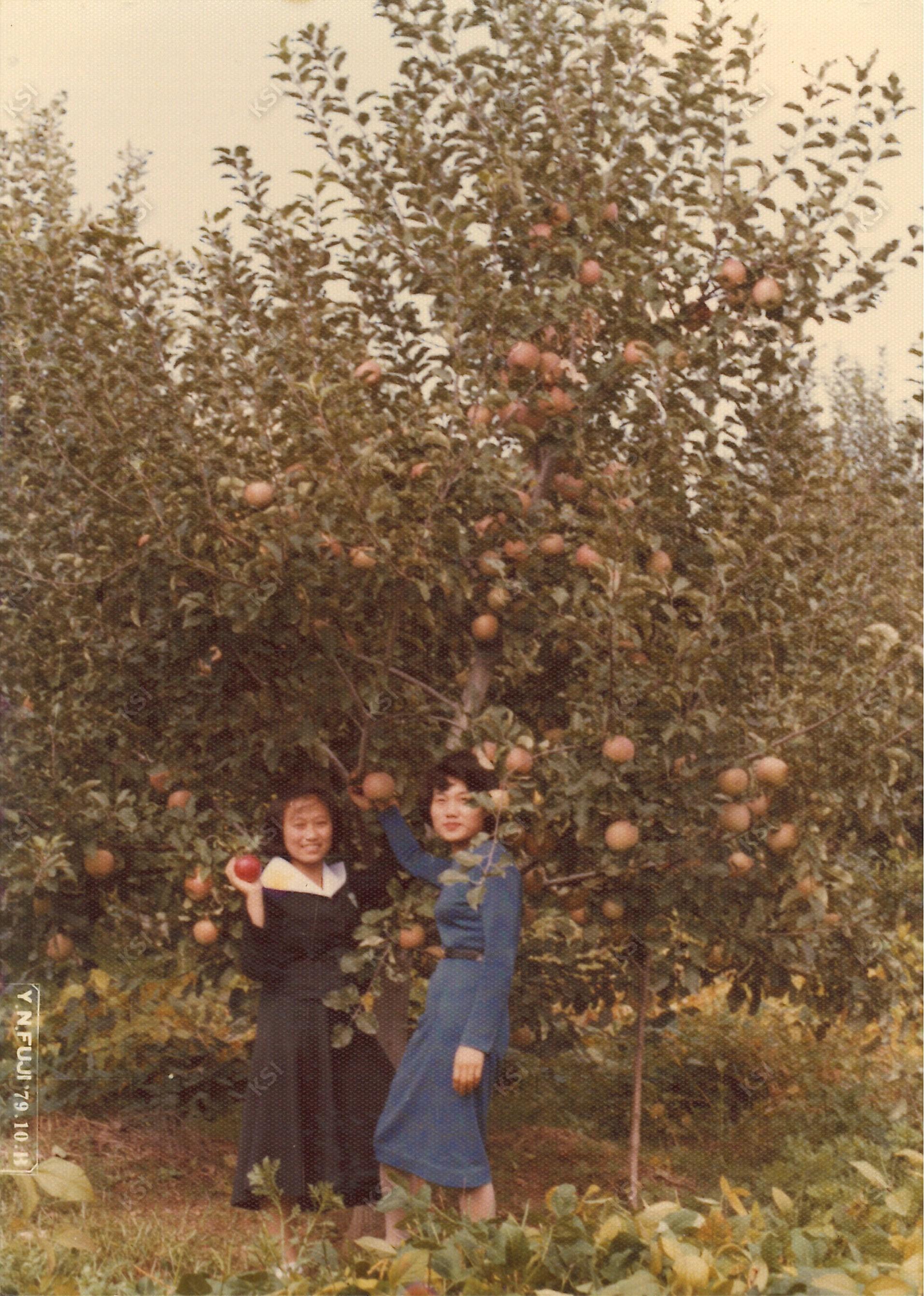 1979년 여동생과 사과밭에서