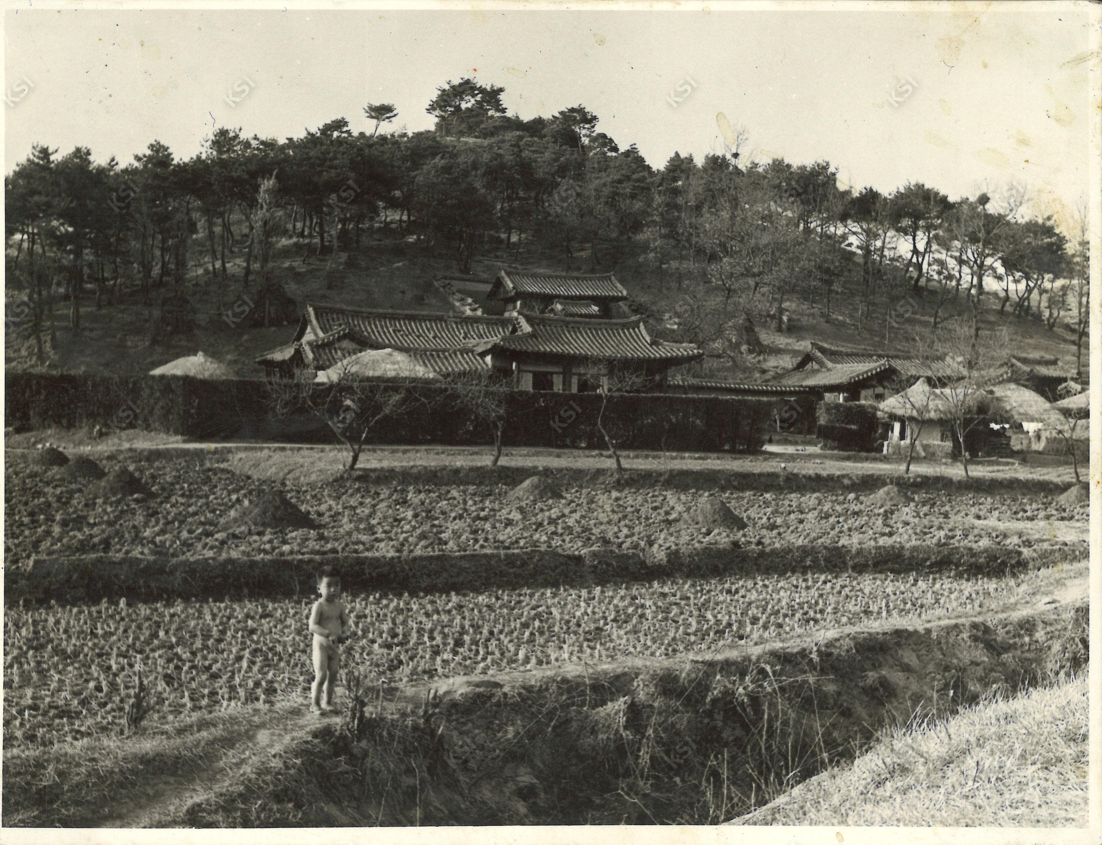1958년 미군이 찍은 옛 학봉종택(현 소계서당)