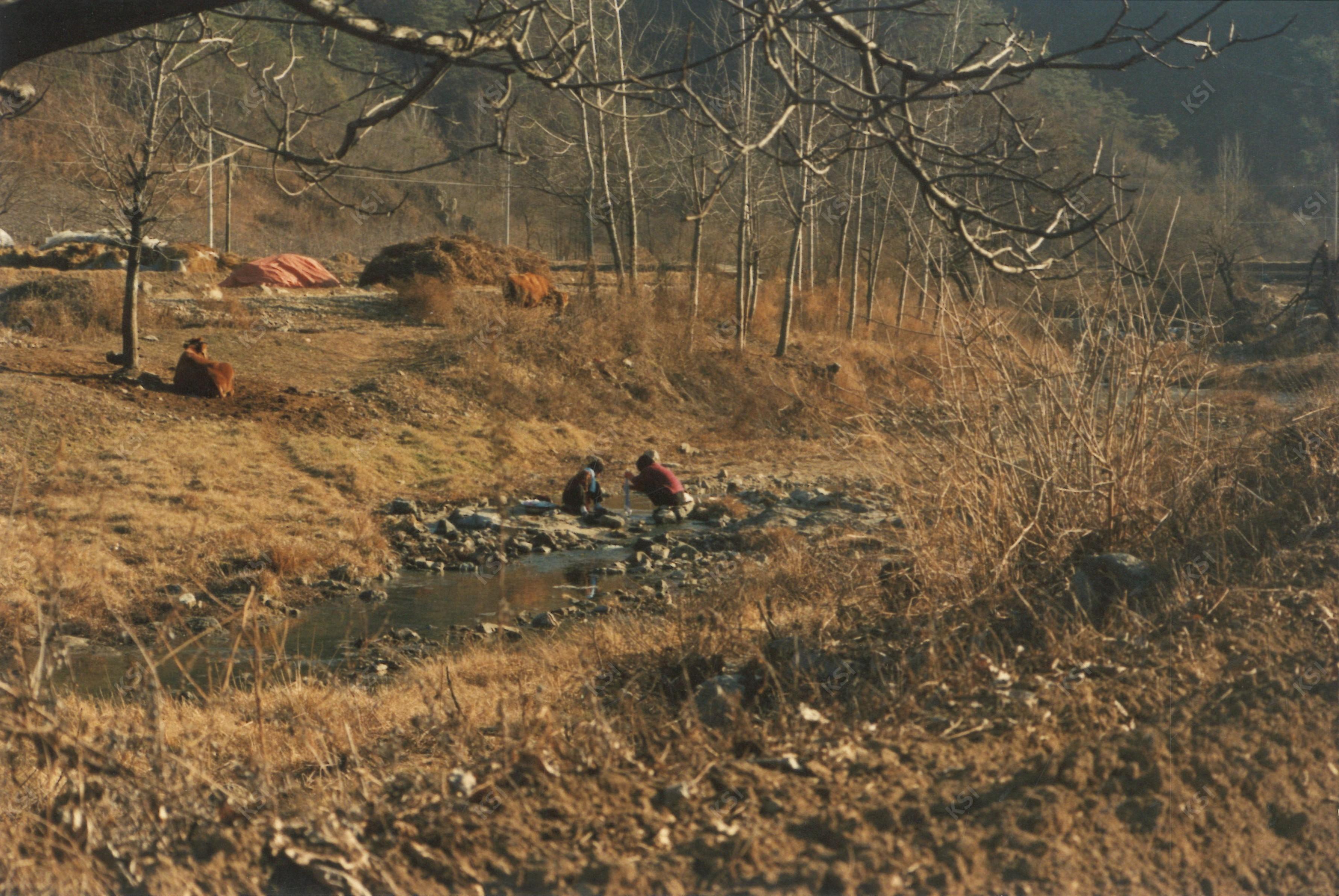 1990년대 중후반 이송천 냇가에서 빨래하는 여인