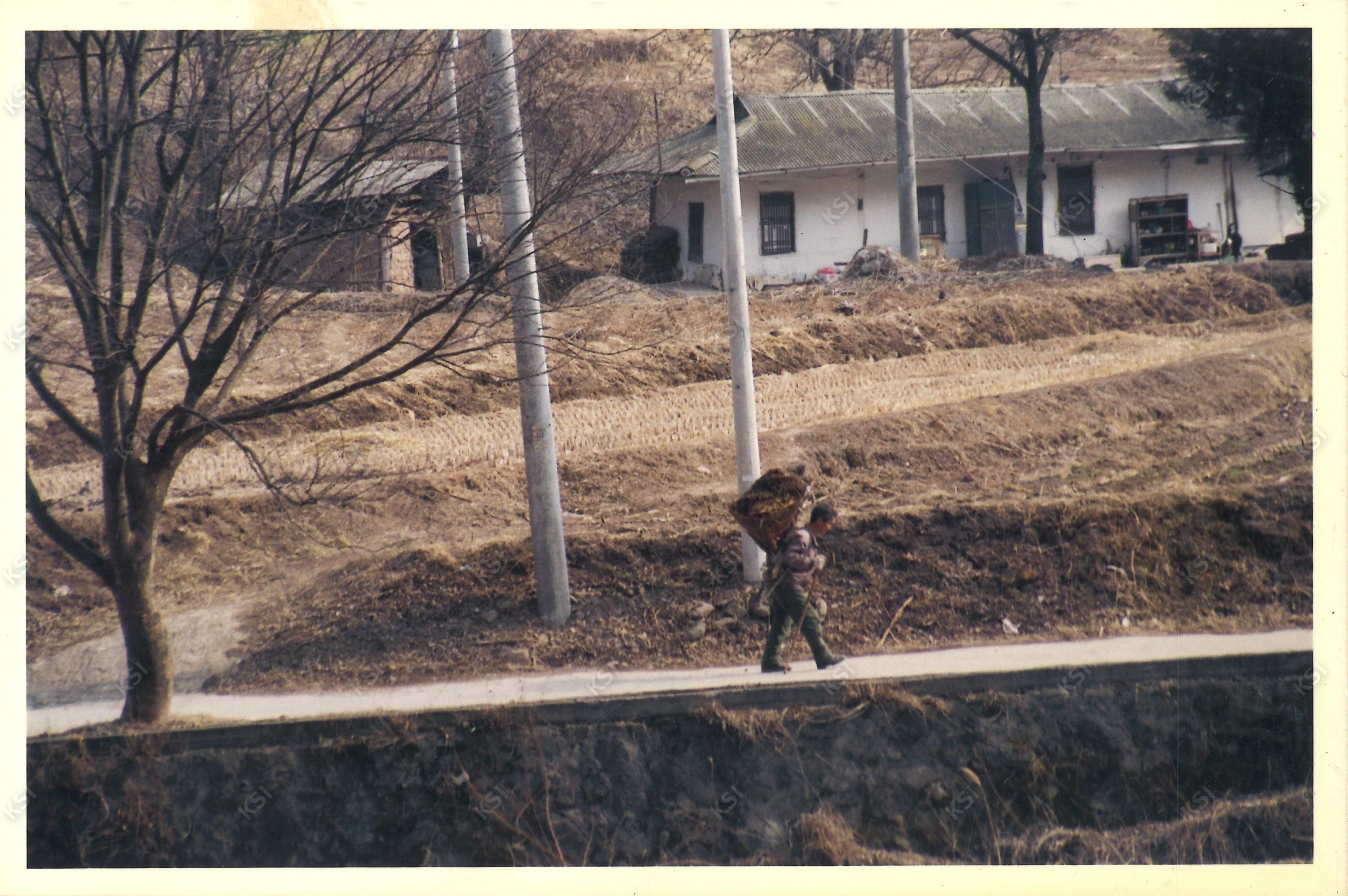 1990년대 중후반 이송천 도로 위 지게 진 농부