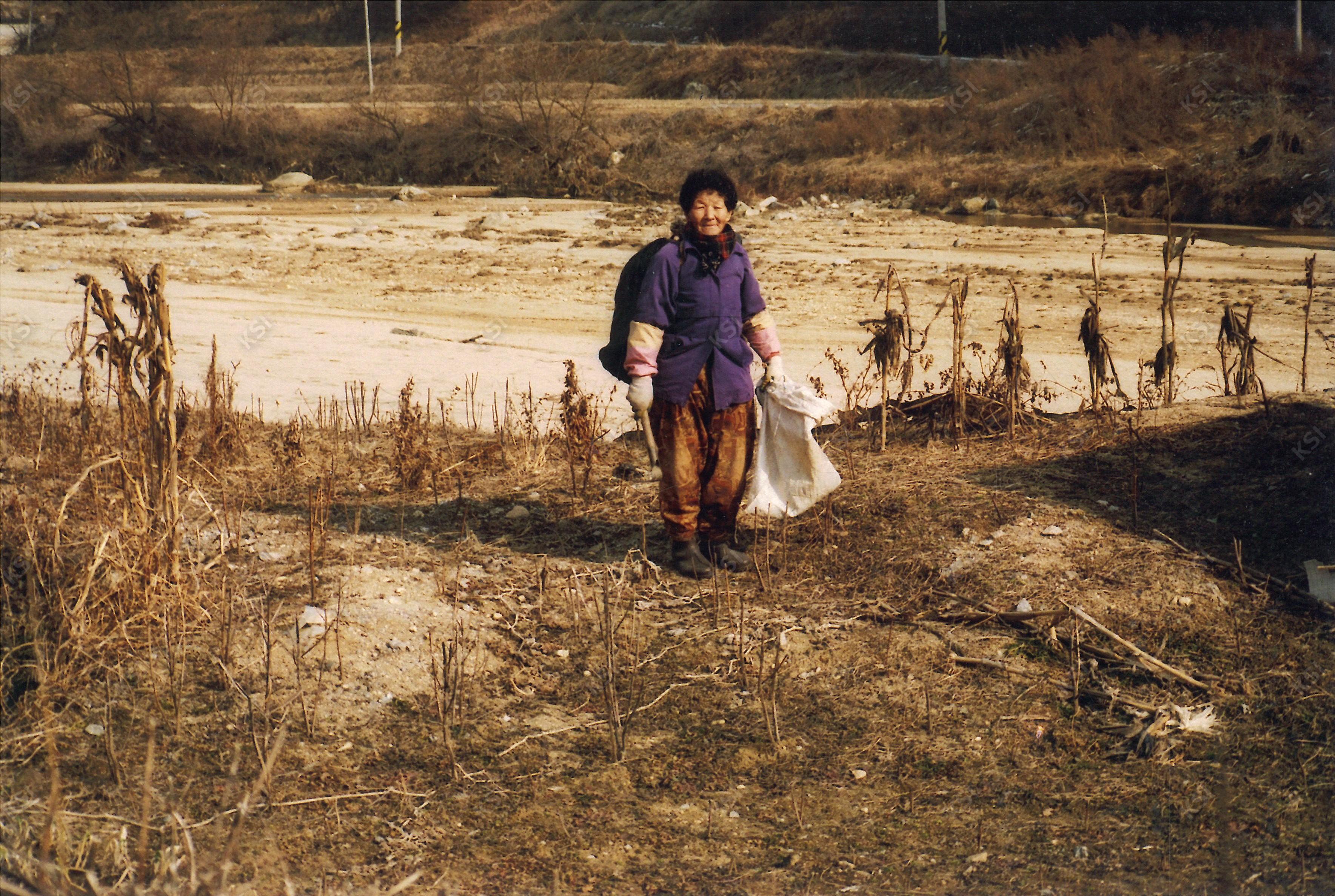 1990년대 중후반 이송천 냉이 캐는 할머니