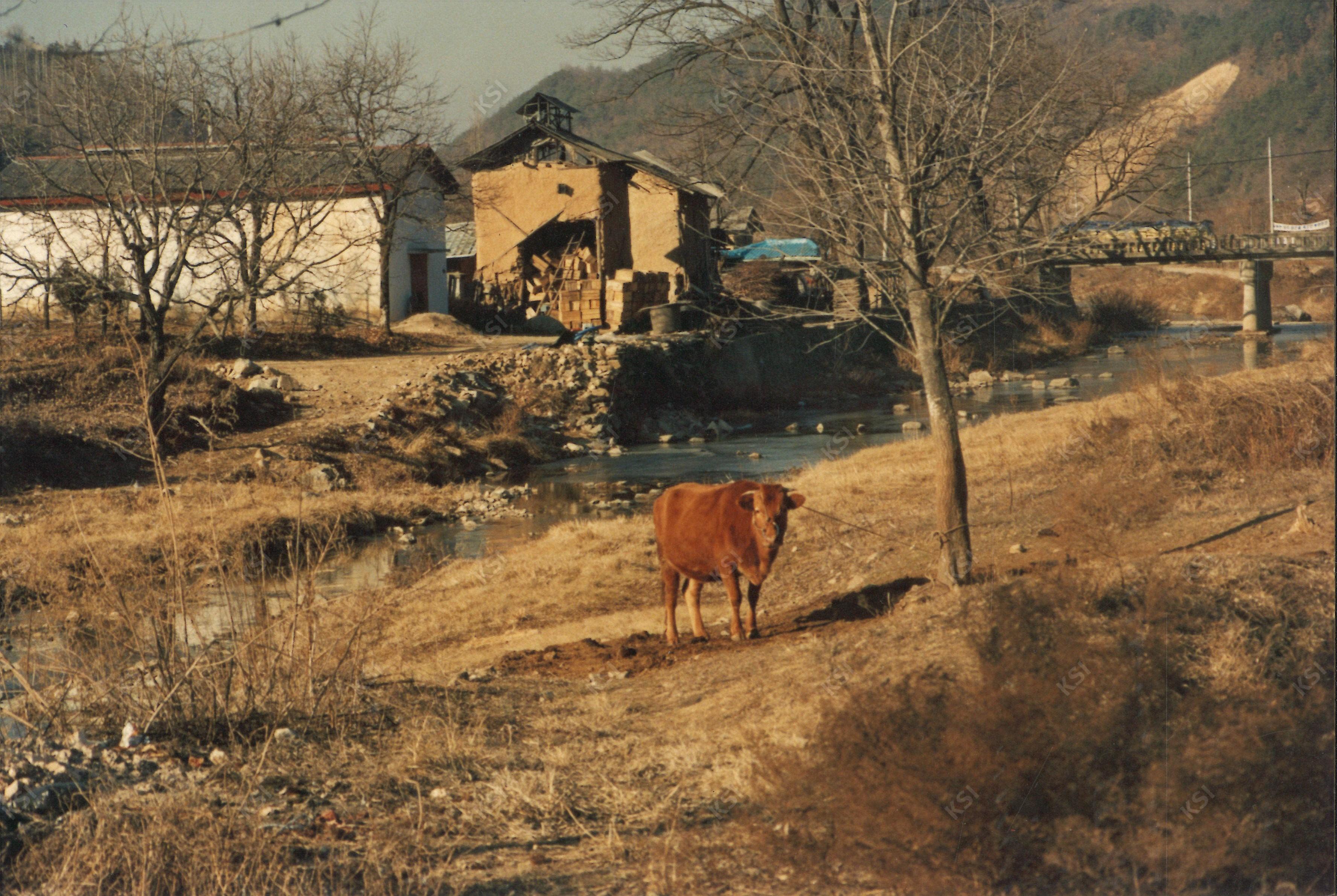 1990년대 중후반 이송천 천변의 소