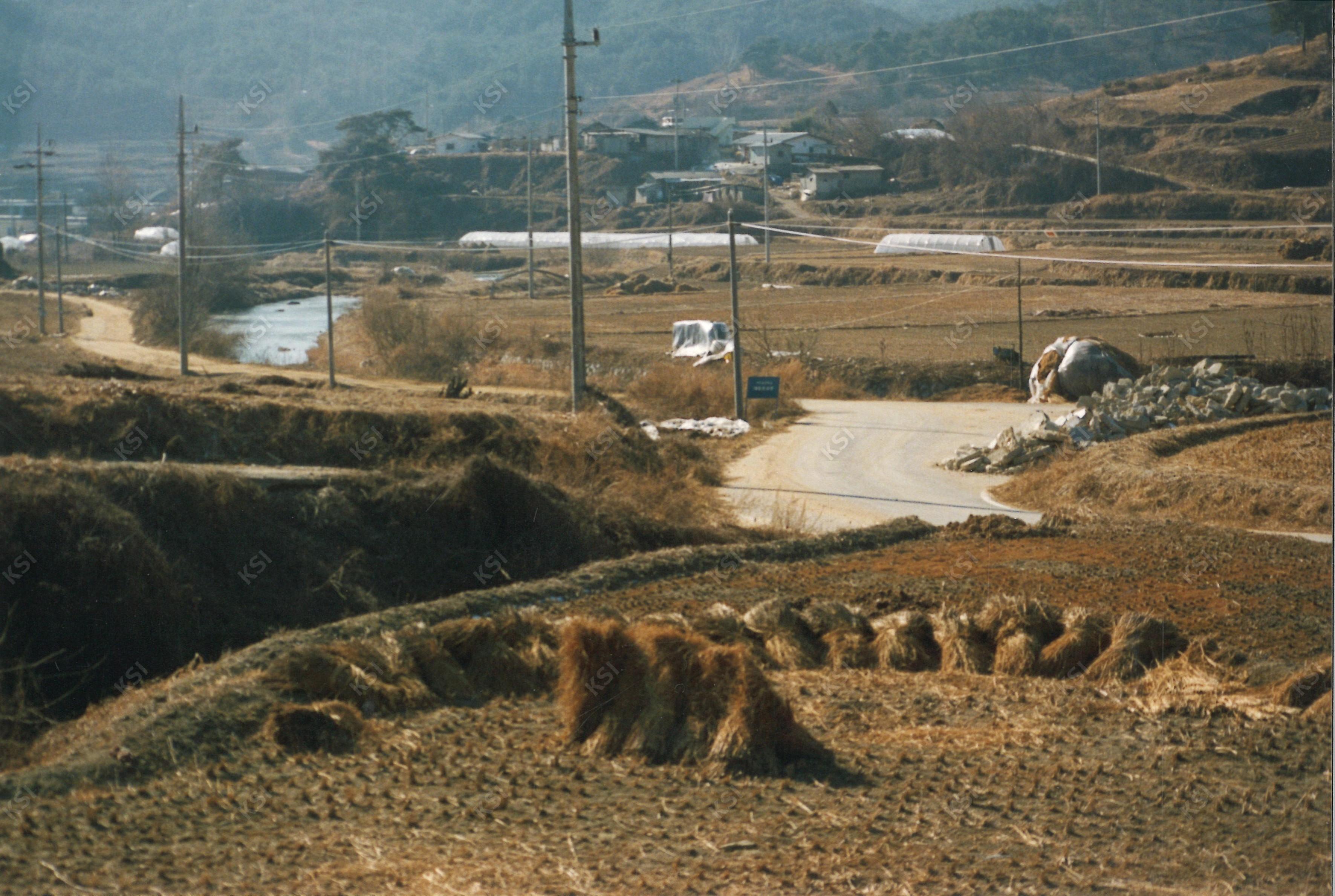 1990년대 중후반 대두서 추수 뒤 풍경